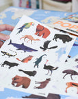 Poppik Animals Of The World Discovery Stickers 67