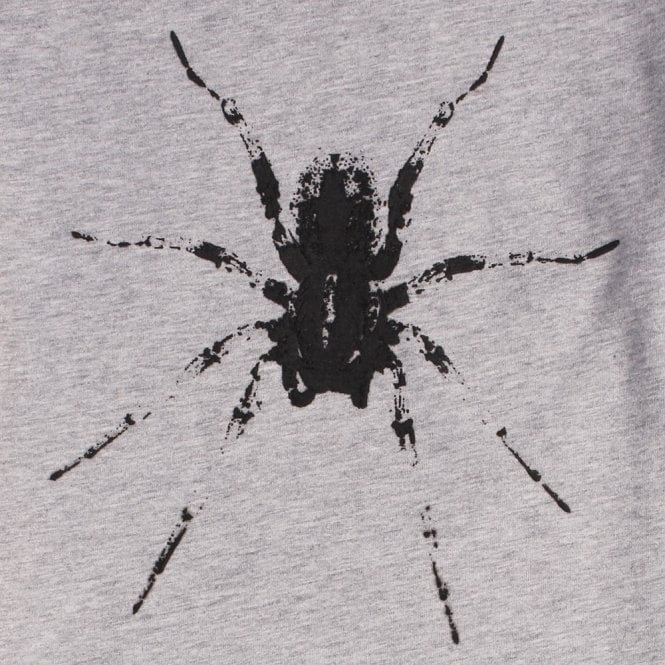 Lanvin Boys Spider Logo T-Shirt Grey