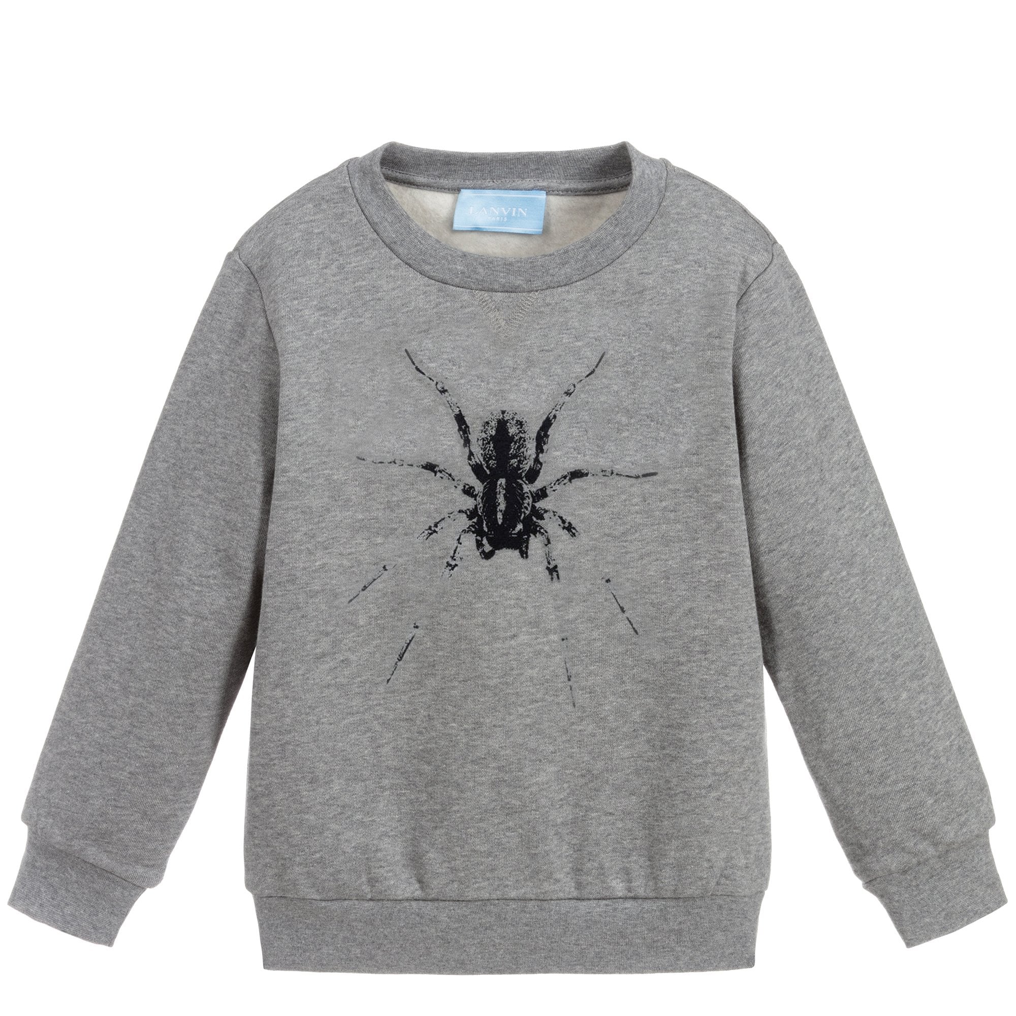 Lanvin Paris Boys Spider Sweatshirt Grey