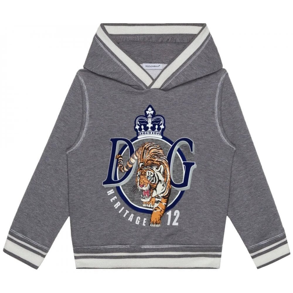 Dolce &amp; Gabbana Boys Tiger Sweatshirt Grey