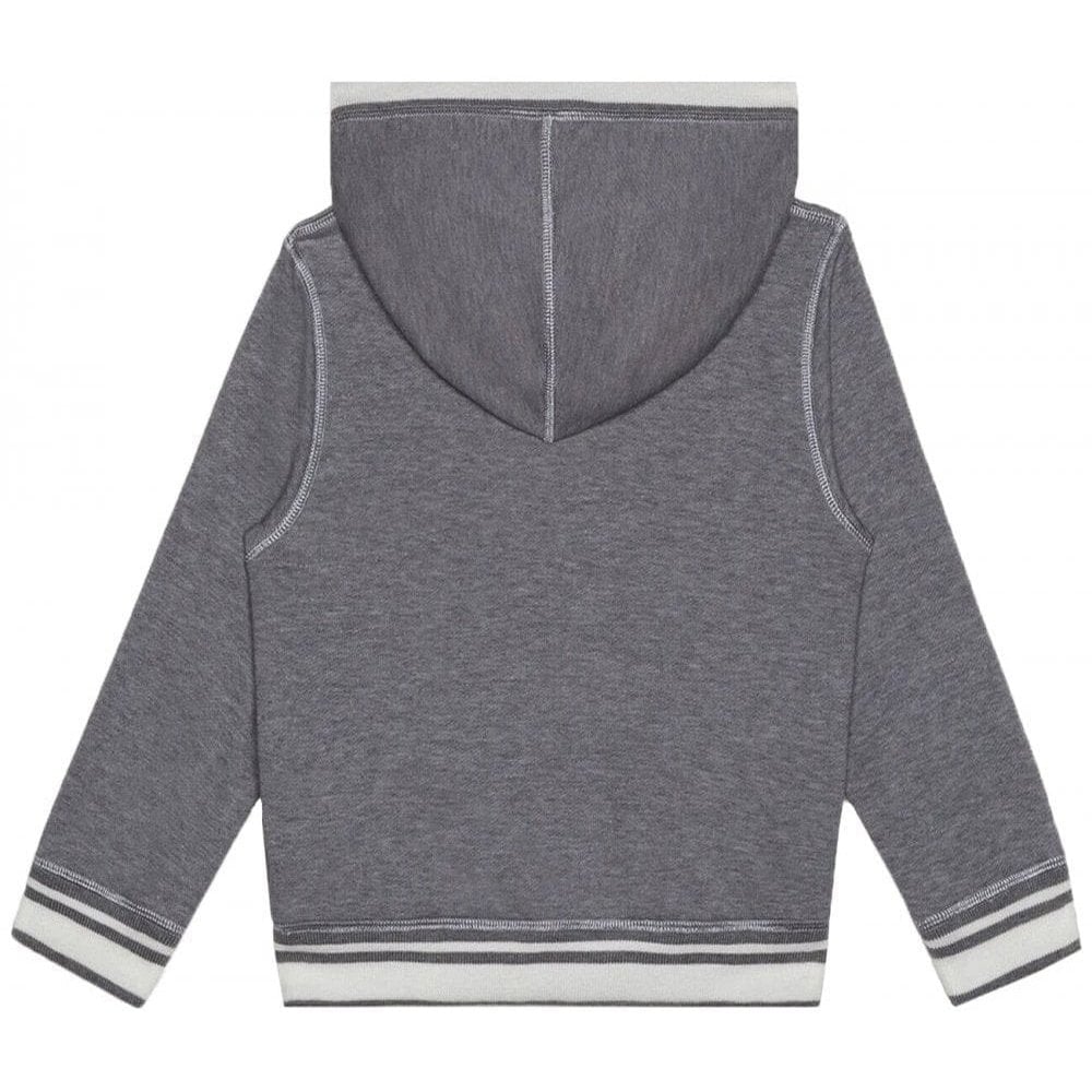 Dolce &amp; Gabbana Boys Tiger Sweatshirt Grey